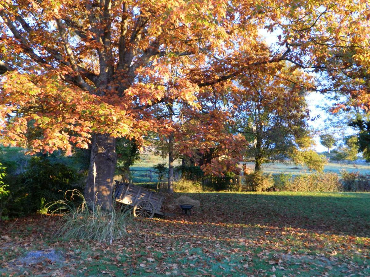 Centre De Bien-Etre Et Ses Chambres D'Hote Villeneuve-de-Rivière Exterior foto